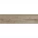 Плитка Керамограніт Argenta Ceramica Nolan TAUPE 30х120