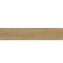 Плитка Керамогранит Almera Ceramica DAKOTA NATURAL PRI
