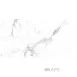 Плитка Керамограніт Allore Group Alcora Grey F P Full Lappato Rec 60*120 см білий