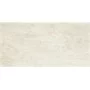 Плитка стінова Emilly Beige 300x600x9 Paradyz