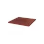 Сходинка пряма Taurus Brown 300x300x8,5 Paradyz