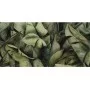 Декор Natura Leaf A 300x600x8 Paradyz