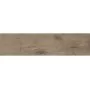 Плитка керамогранітна Alpina Wood коричневий 150x600x8,5 Golden Tile
