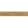 Плитка керамогранітна Freeland Gold RECT 98x598x9 Paradyz