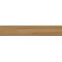 Плитка керамогранітна Trueland Gold RECT 198x1198x9 Paradyz