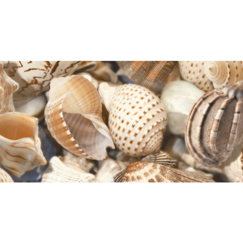 Декор Sea Breeze Shells Decore №2 300x600x9 Golden Tile