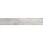 Плитка Керамогранит Almera Ceramica DREAM FOREST LIGHT