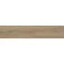 Плитка Керамогранит Almera Ceramica NINSBA CAMEL RECT.