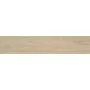 Плитка Керамогранит Almera Ceramica NINSBA BEIGE RECT