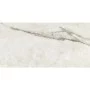 Плитка Керамогранит ALMERA CERAMICA (SPAIN) P.E. PUL PRESTIGE NATURAL