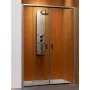 Душові двері Premium Plus DWD 160 Radaway  (33363-01-01N)