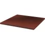 Плитка керамогранітна Cloud Rosa 300x300x8,5 Paradyz
