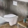 Кришка для унітаза Selnova soft-close 500.335.01.1 Geberit
