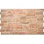 Плитка фасадна Canella Ginger 300x490x10 Cerrad